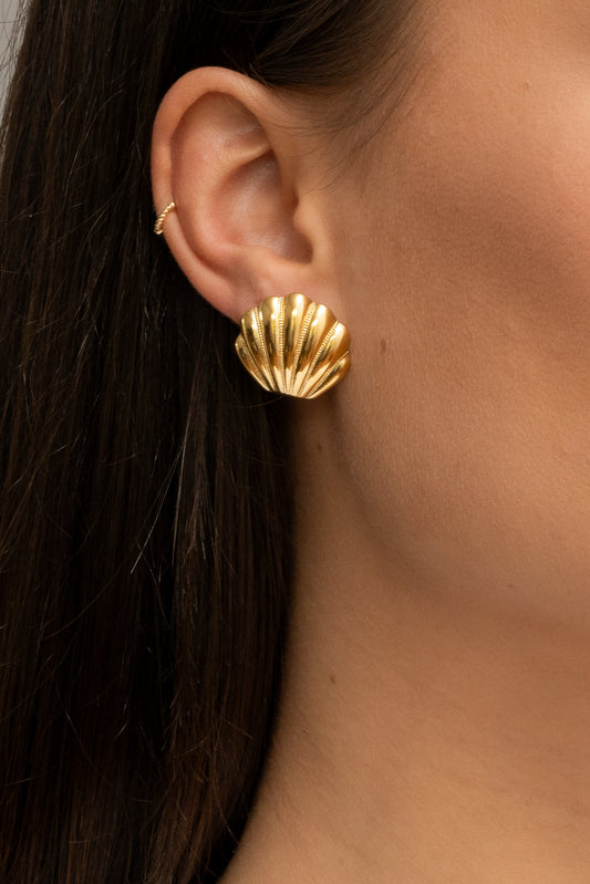 Sea Shell Earrings