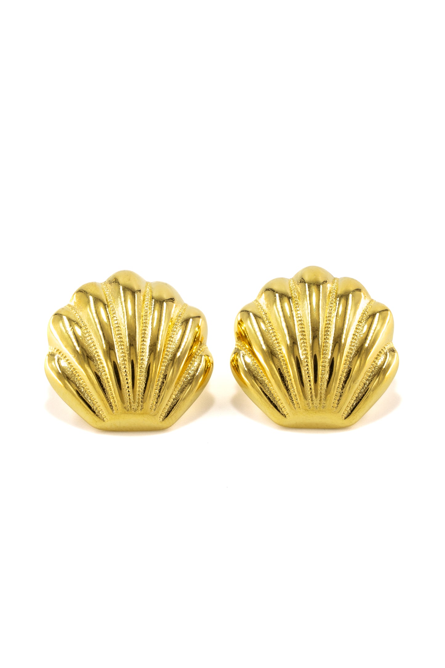 Sea Shell Earrings