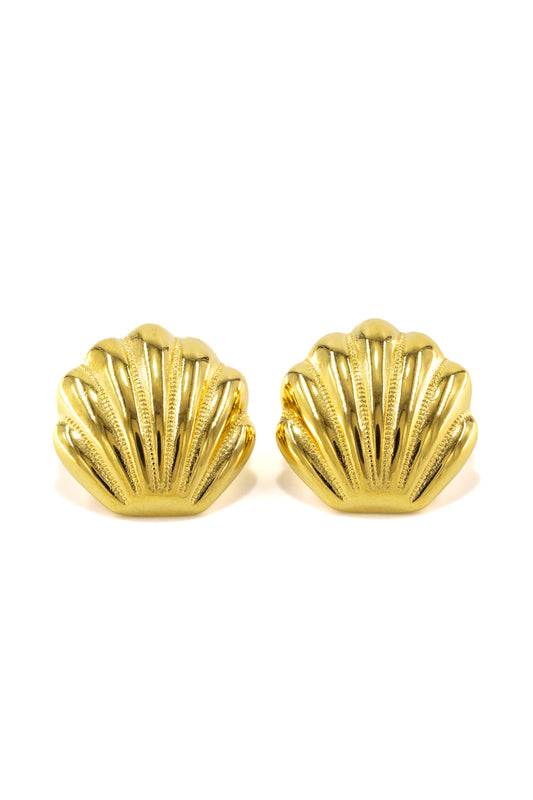 Sea Shell Earrings